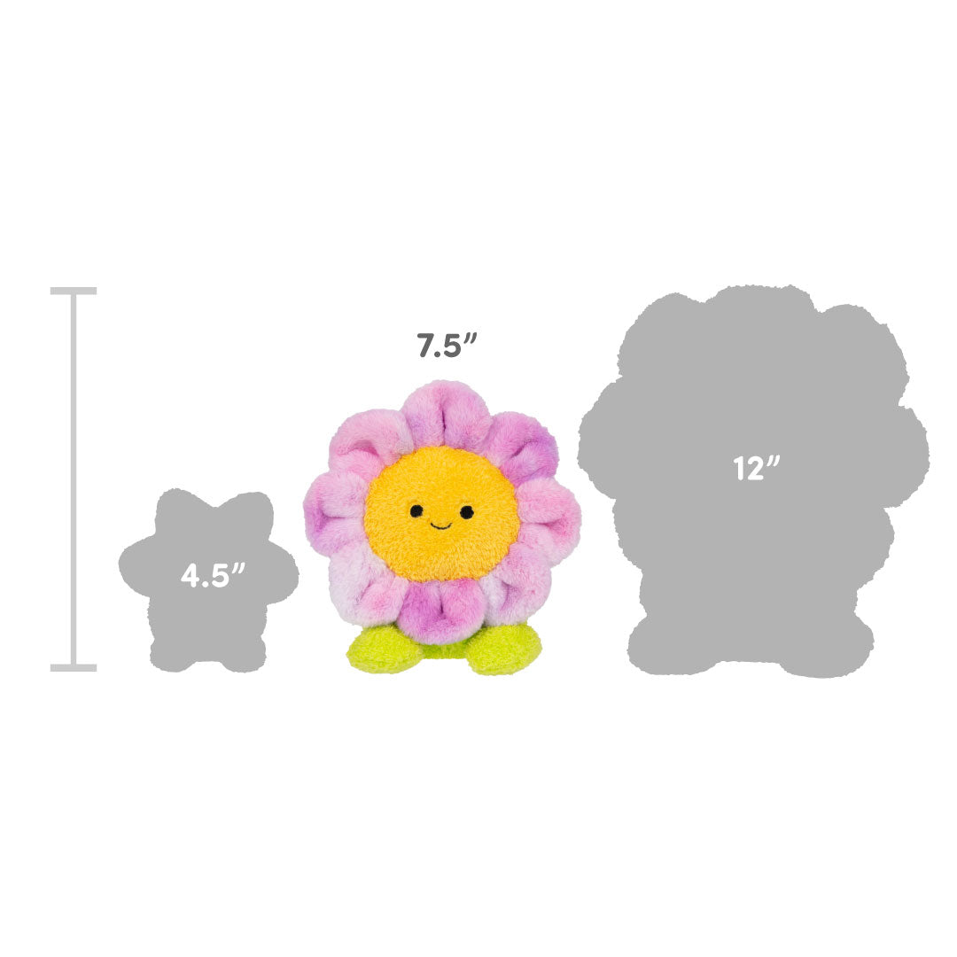 Rainbow Mushroom Mateo