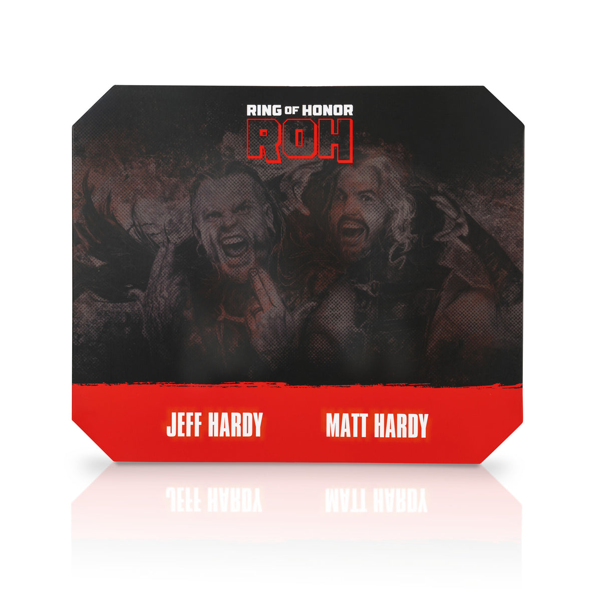 Ring of Honor Hardy Boyz 2-Pack