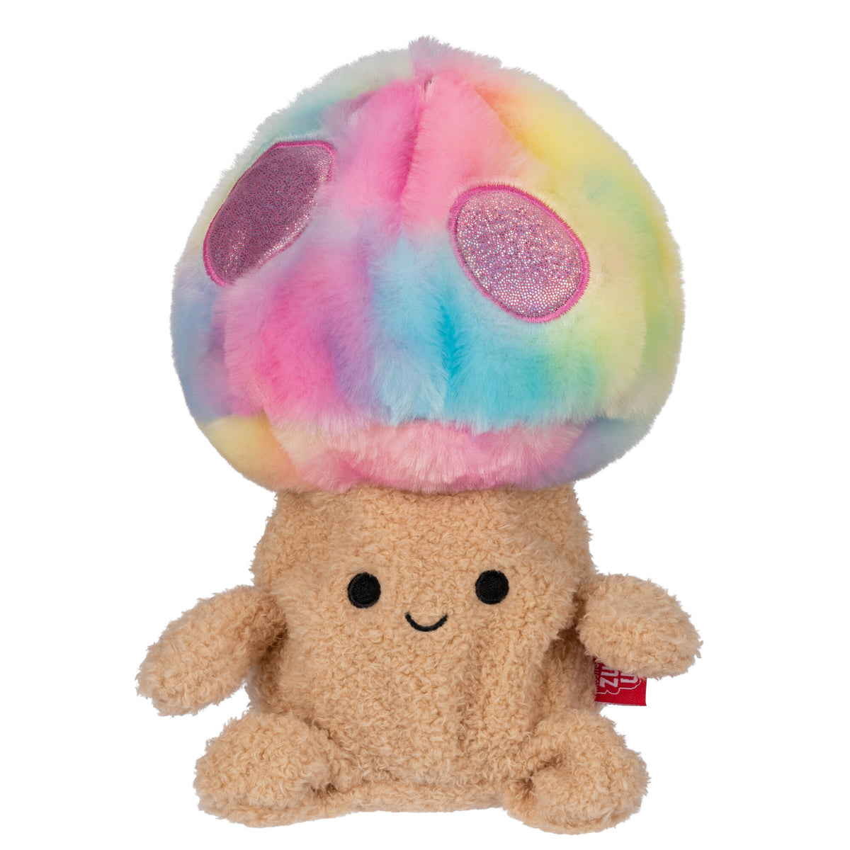 Rainbow Mushroom Mateo