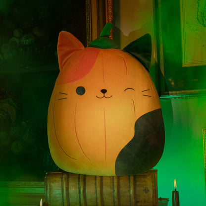 Pumpkin Cam