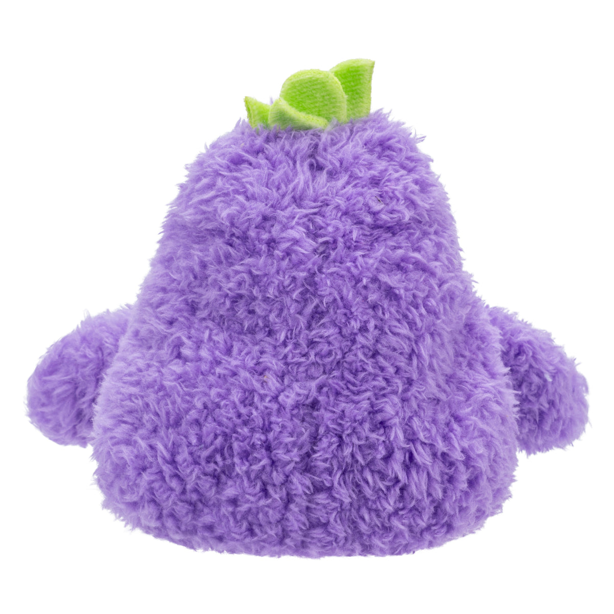 Eggplant Erinn