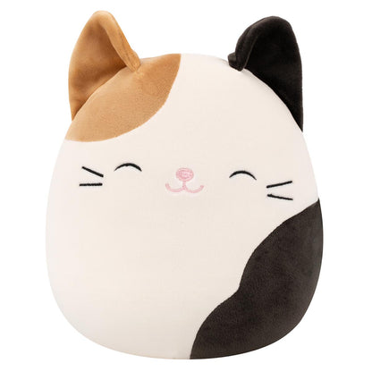Cam the Calico Cat
