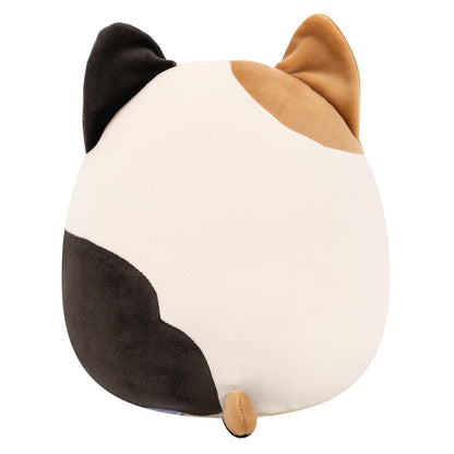 Cam the Calico Cat
