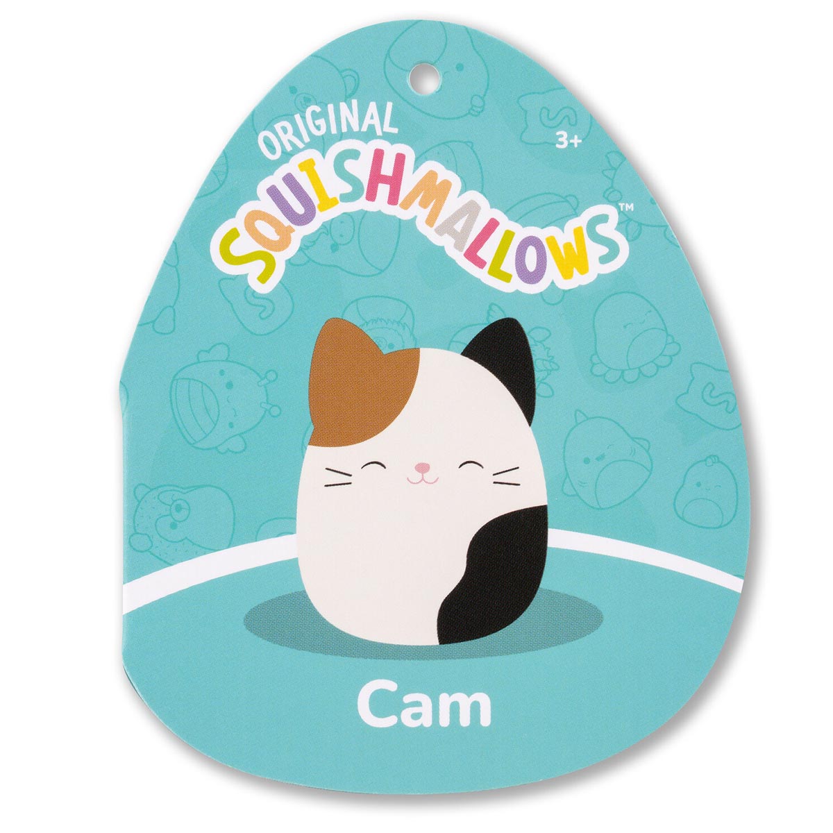 Cam the Calico Cat
