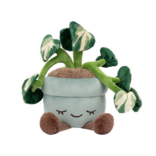 Greenhouse by Russ 12-Inch Pothos Plant Plush