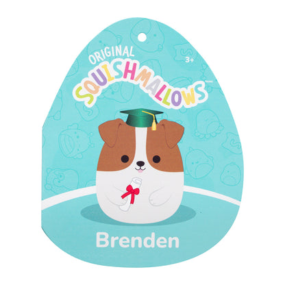 12-Inch Brenden the Jack Russell Terrier in Graduation Cap