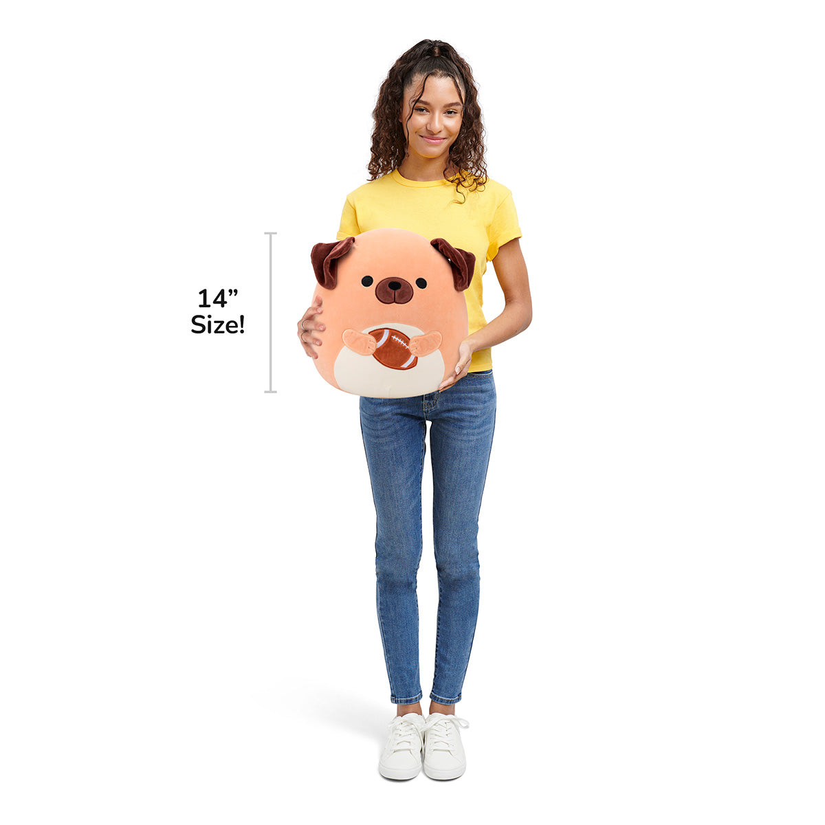 14-Inch Daryl the Brown Dog Holding Football