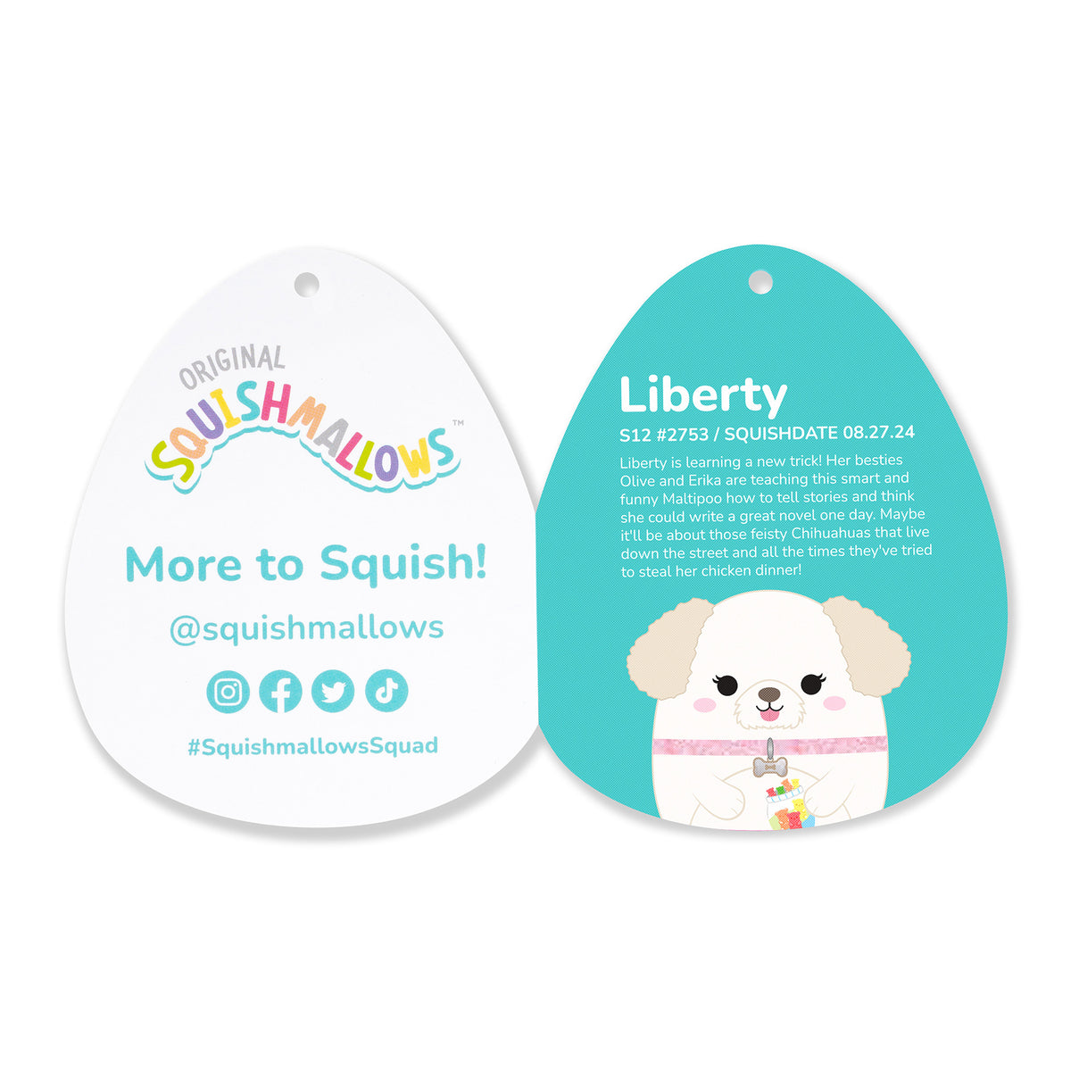 12-Inch Make-A-Wish Liberty the Cream Maltipoo
