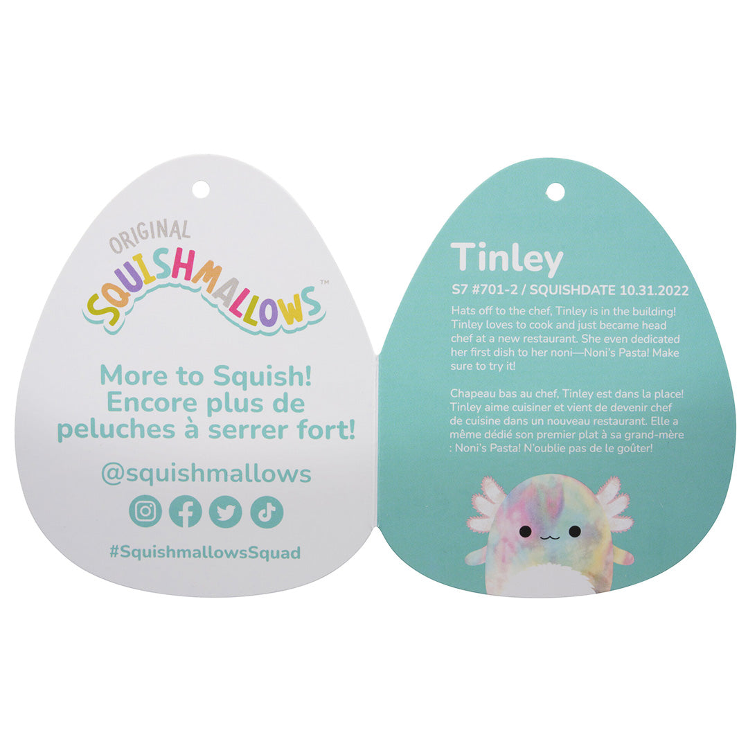 11-Inch Tinley the Rainbow Tie-Dye Axolotl